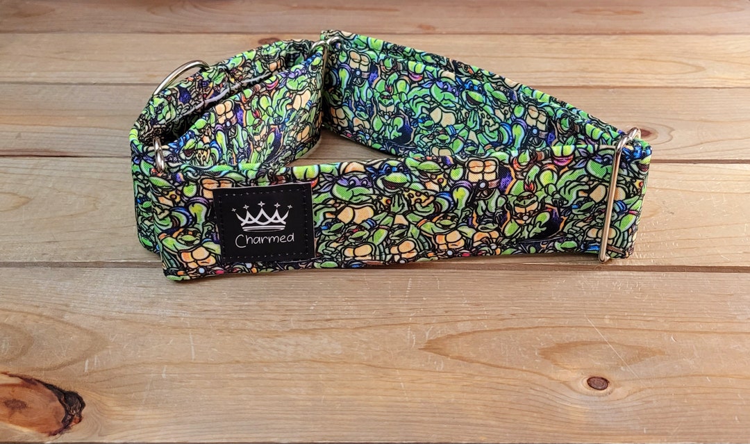 1528 Turtle Martingale Collar 2 Width, Pet Collar, Medium, Large, XL, Ninja Turtle, Cartoon Dog