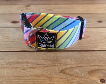 PETITE 11"-18" Dog Collar 1.5" Width, Small, Medium, Stripes Dog Collar, Colorful Collar, Buckle Dog Collar, Fun Dog, Stripes Collar