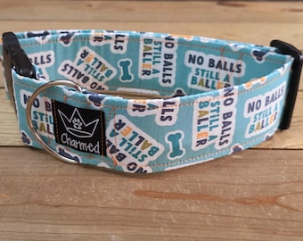 14"-28" Swear Dog Collar 2" Width, Medium, Large, XL, Swear Dog Collar, Naughty Collar, Funny, Explicit, No Balls Still A Baller
