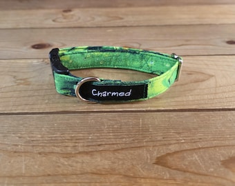 8"-16" Spectrum Dog Collar 3/4" Width, Pet Wear, Small, Medium, Dog Collar, Colorful, Fun, Vibrant, Spectrum