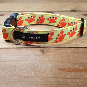 Collar para perro de 11" a 22" de ancho, 1" de ancho, collar para mascotas, mediano, pequeño, grande, collar neón para perro, océano, verano, cangrejos
