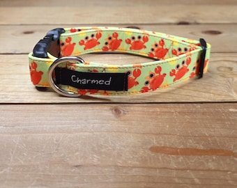 1" Width Buckle Collar