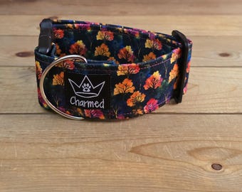 PETITE Fall Collars