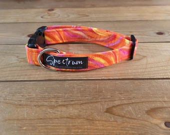11"-22" Spectrum Dog Collar 1" Width, Pet Wear, Small, Medium, Large Dog Collar, Colorful, Fun, Vibrant, Spectrum Collar