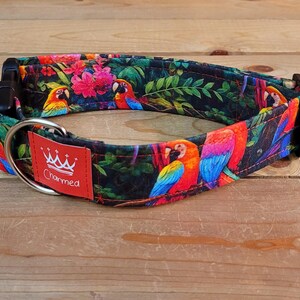 13"-26" Dog Collar 1.5" Width, Pet Accessory, Pet Collar, Medium, Large, XL, Nature, Macaw Dog Collar, Bird Dog Collar, Jungle