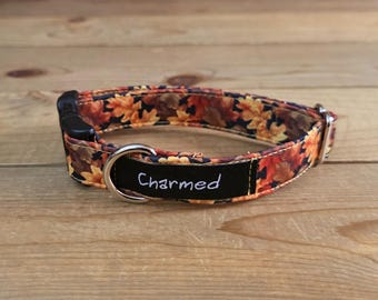 9"-18" Fall Dog Collar 3/4" Width, Pet Collar, Small, Cat, Dog Collar, Autumn Collar, Leaves, Seasonal Collar, Buckle Collar