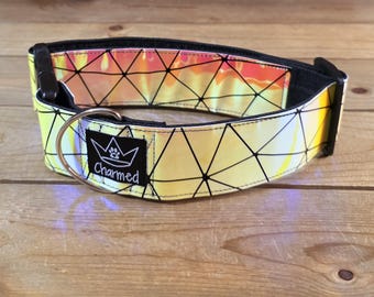 13"-27" Holographic Dog Collar 2" Width, Medium, Large, XL, Colorful, Waterproof Ottertex Lined