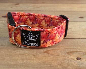 10"-18" PETITE Fall Dog Collar 1.5" Width, Small Collar, Medium, Large, XL Dog Collar, Autumn Collar, Leaves, Seasonal Collar, Buckle Collar