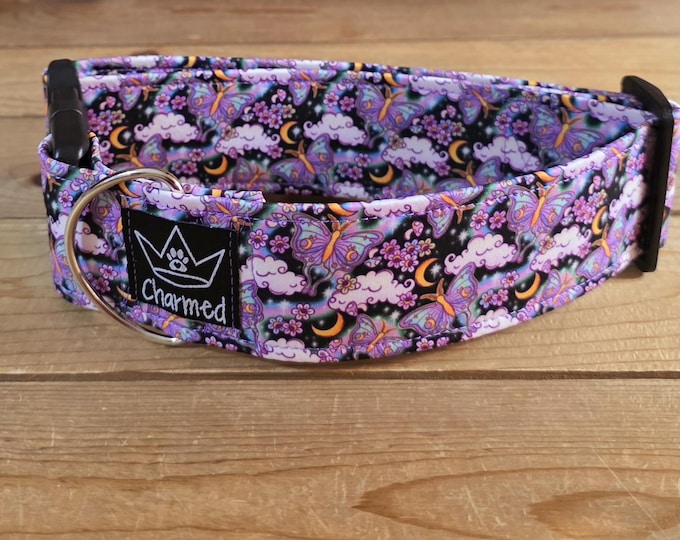 Featured listing image: 14"-28" Dog Collar 2" Width, Pet Collar, Medium, Large, XL Dog Collar, Butterfly Dog Collar, Butterflies