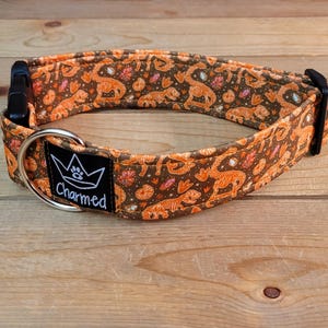 13"-26" Dog Collar 1.5" Width, Pet Collar, Medium, Large, XL, Fun Dog Collar, Dinosaur Fossil, Buckle Dog Collar, Dinosaur Dog Collar