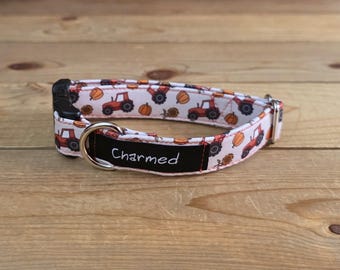 9"-18" Fall Dog Collar 3/4" Width, Pet Collar, Small, Cat, Dog Collar, Autumn Collar, Leaves, Seasonal Collar, Buckle Collar
