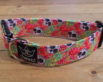 13"-26" Dog Collar 1.5" Width, Pet Collar, Medium, Large, XL, Fun Dog Collar, Buckle Collar, Skulls, Watermelon, Summer Collar