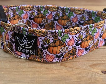 14"-28" Fall Dog Collar 2" Width, Pet Collar, Medium, Large, XL Dog Collar, Autumn Collar, Leaves, Seasonal Collar, Buckle Collar
