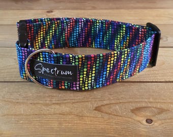 14"-28" Spectrum Dog Collar 2" Width, Pet Wear, Small, Medium, Large Dog Collar, XL, Colorful, Fun, Vibrant, Spectrum Collar