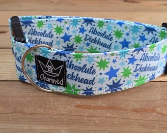 14"-28" Swear Dog Collar 2" Width, Medium, Large, XL, Swear Dog Collar, Naughty Collar, Funny, Explicit, Absolute Dickhead