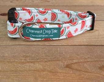 11"-22" Watermelon Dog Collar 1" Width, Pet Collar, Medium, Large, XL, Summer Snack Dog Collar, Fruit Dog Collar, Buckle Dog Collar