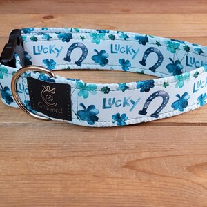 13"-26" St. Patrick's Day Collar 1.5" Width, Pet Collar, Small, Medium, Large Collar, XL, Lucky Dog, Holiday Collar, Kiss Me, Irish