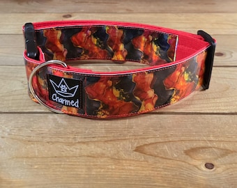 13"-27" Holographic Dog Collar 2" Width, Medium, Large, XL, Colorful, Waterproof Ottertex Lined