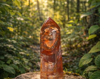Gorgeous Petrified Wood Tower, 6.90oz  4" Tall, Beautiful Tower, Home Decor, Reiki, Healing, Petrified Wood