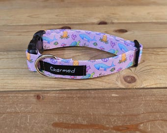 11"-22" Dog Collar 1" Width, Pet Collar, Medium, Small, Large, Big Dog Collar, Ocean, Summer, Shark Dog Collar