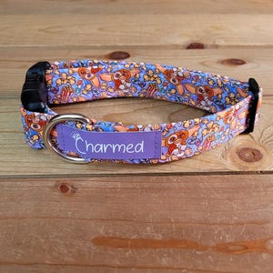 11"-22" Dog Collar 1" Width, Pet Collar, Small, Medium, Large Collar, Gremlins, Throwback Collar, Don't Feed, Don't Get Wet