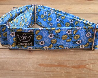 14"-26" Martingale Collar 2" Width, Pet Collar, Medium, Large, XL, Martingale Collar, Easy Peasey, Funny Dog Collar, Lemon Squeezy