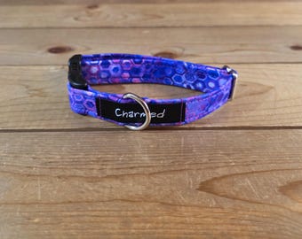 8"-16" Spectrum Dog Collar 3/4" Width, Pet Wear, Small, Medium, Dog Collar, Colorful, Fun, Vibrant, Spectrum, PURPLE