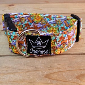 PETITE 10"-18" Dog Collar 1.5" Width, Pet Collar, Medium, Fun Dog Collar, Scooby-Doo, Cartoon, Polaroid, Zoinks