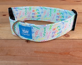 14"-28" Swear Birthday Dog Collar 2" Width, Pet Collar, Medium, Large, Small, XL Collar, Bark Day, Gotcha Day, Celebration Dog Collar