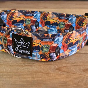 14&quot;-28&quot; hondenhalsband 2&quot; breed, hondenhalsband, medium, groot, XL-halsband, staatsparken, reizen, kamperen, Dogs of Summer, strandhond, halsband met gesp