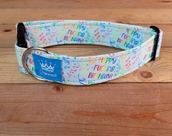 13"-26" Swear Birthday Dog Collar 1.5" Width, Pet Collar, Medium, Large, Small, XL Collar, Bark Day, Gotcha Day, Celebration Dog Collar