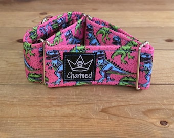PETITE 13"-20" Martingale Collar 2" Width, Pet Collar, Medium, Small, Fun Dog Collar, Dinosaur Martingale, Neon Dogs, Dino Dog, Summer Mart