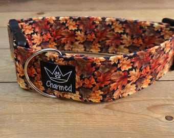 14"-28" Fall Dog Collar 2" Width, Pet Collar, Medium, Large, XL Dog Collar, Autumn Collar, Leaves, Seasonal Collar, Buckle Collar