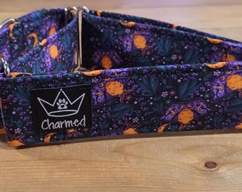 14"-27" Martingale Collar 2" Width, Pet Collar, Medium, Large, XL, Martingale Dog Collar, Moth Martingale, Cottagecore, Magical