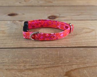 6"-12" Spectrum Collar 1/2" Width, Pet Wear, XS, Small, Cat, Dog Collar, Kittens, Teacup Pup, Colorful, Fun,