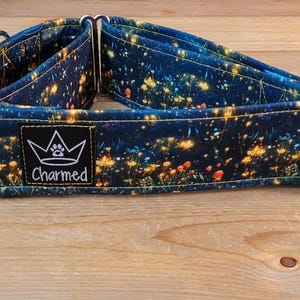 14"-28" Martingale Collar 2" Width, Pet Collar, Medium, Large, XL, Fun Dog Collar, Fireflies, Lightening Bugs, Summer Martingale
