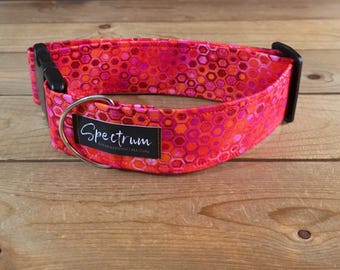 14"-28" Spectrum Dog Collar 2" Width, Pet Wear, Small, Medium, Large Dog Collar, XL, Colorful, Fun, Vibrant, Spectrum Collar