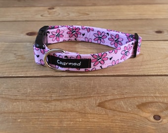 1" Width Buckle Collar