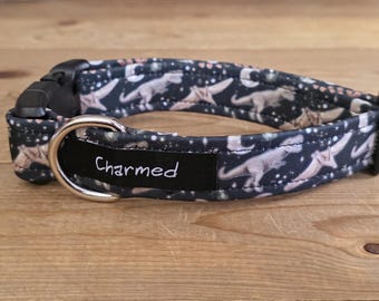 11"-22" Dog Collar 1" Width, Pet Collar, Small, Medium, Large Collar, Summer Collar, Boy Dog Collar, Dinosaur, Dino Buckle Collar