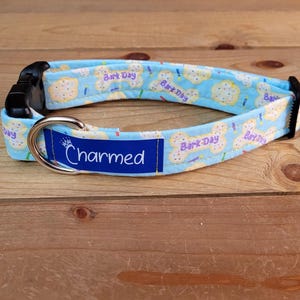 11"-22" Birthday Dog Collar 1" Width, Pet Collar, Medium, Large, Small, Bark Day, Gotcha Day, Celebration Dog Collar