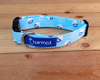 11"-22" Birthday Dog Collar 1" Width, Pet Collar, Medium, Large, Small, Bark Day, Gotcha Day, Celebration Dog Collar