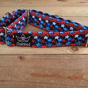 14"-27" Martingale Collar 1.5" Width, Pet Collar, Medium, Large, XL Dog Collar, 4th of July, Patriotic, Red White & Blue, Martingale Collar
