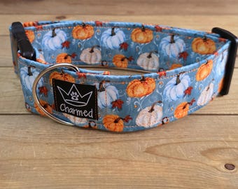 Fall Buckle Collars