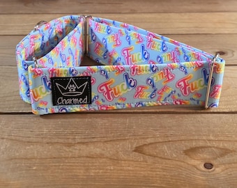 14"-27" Swear Martingale Collar 2" Width, Medium, Large, XL, Fuck Dog Collar, Naughty Collar, Funny, Explicit, Fuck, Lisa Frank