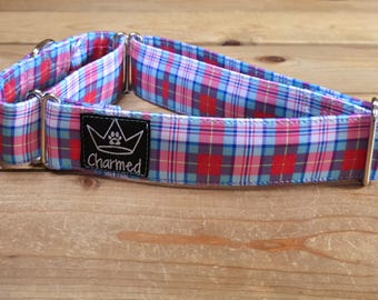 14"-26" Spectrum Martingale Collar 1.5" Width, Pet Wear, Small, Medium, Large Dog Collar, XL, Colorful, Vibrant, Plaid, Martingale, Neon