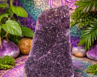 Amethyst Cut Base , 2lb and 4-1/2" Tall, Beautiful Dark Amethyst, Home Decor, Reiki, Healing, Dark Purple
