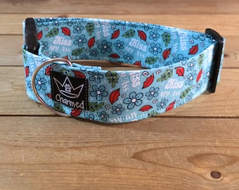14"-28" Swear Dog Collar 2" Width, Small, Medium, Large, XL, Daisy, Kiss My Ass Dog Collar, Naughty Dog Collar, Explicit, Funny Dog Collar