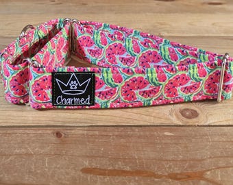 14"-27" Martingale Collar 1.5" Width, Pet Collar, Medium, Large, Big Dog Collar, Watermelon Martingale, Summer Fruit