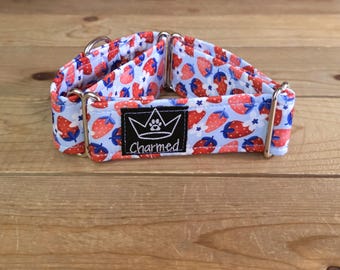 PETITE 12"-19" Martingale Collar 1.5" Width, Pet Collar, Medium, Small, Fun Dog Collar, Flower Dogs, Strawberries Martingale