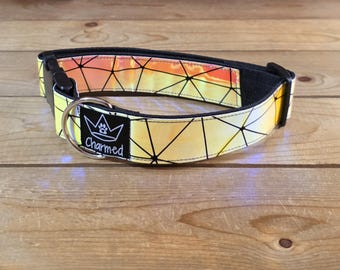13"-26" Holographic Dog Collar 1.5" Width, Medium, Large, XL, Colorful, Waterproof Ottertex Lined
